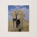 Search for kenya puzzles Trunk