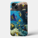 Search for dive electronics Animal