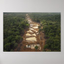 Search for deforestation posters Tree