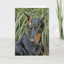 Search for pincher cards Doberman