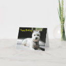 Search for miniature schnauzer birthday cards Puppy
