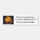 Search for dachshund bumper stickers Doxie