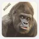 Search for gorilla stickers Primate