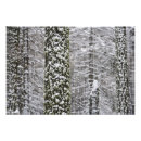 Search for snowy mountain posters National park