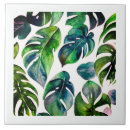 Search for monstera tiles Plants