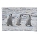 Search for baby animals pillowcases Emperor penguin