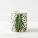 Search for green grasshopper mugs Nature