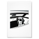 Search for trend posters Chic
