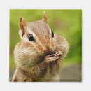 Search for cheeky magnets Nature