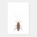 Search for cockroach Dirty