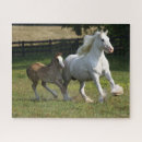 Search for gypsy vanner horse puzzles Running