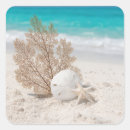 Search for sea urchin stickers Sand dollar