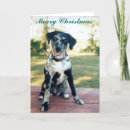 Search for shelter christmas cards Dog