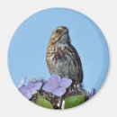Search for spring bird magnets Wildlife