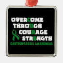 Search for warrior christmas tree decorations Awareness