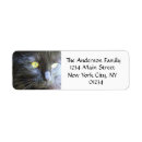 Search for cat return address labels Crazy cat lady