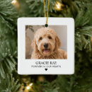 Search for pet memorial christmas tree decorations Create your own