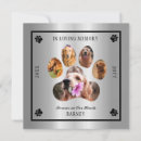 Search for announcing death of dog Dogs