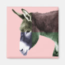 Search for burro magnets Donkey
