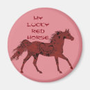 Search for feng shui magnets Luck
