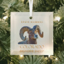 Search for sheep christmas tree decorations Nature