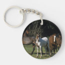 Search for wild 1 key rings Mustang