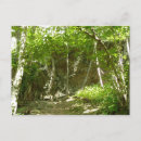 Search for discovery photography Outdoors