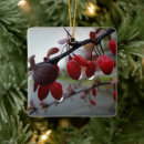 Search for dropping christmas tree decorations Red