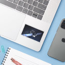 Search for solar panel stickers Orbit