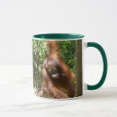 Search for orangutan monkey mugs Orangutans