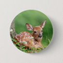 Search for fawn badges Wildlife
