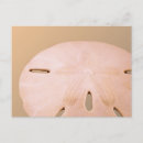Search for dollar horizontal postcards Sea
