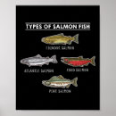 Search for salmon fish posters Ocean