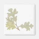 Search for oak leaf magnets Autumn