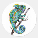 Search for chameleon stickers Wildlife