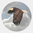 Search for soaring eagle stickers Bird