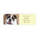 Search for english bulldog return address labels Pets