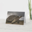 Search for galapagos cards Reptile