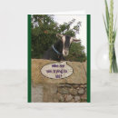 Search for old goat birthday cards Funny
