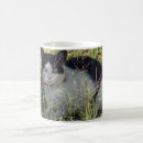Search for moggy mugs Feline