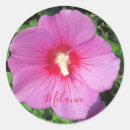 Search for pink rose petals stickers Girly