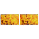 Search for flame pillowcases Funny