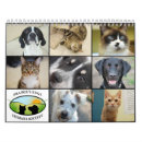 Search for human calendars Dogs