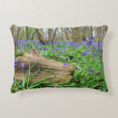 Search for bluebell cushions Nature