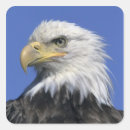 Search for alaska eagle stickers Usa