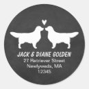 Search for golden retrievers stickers Animals