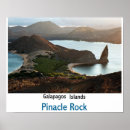 Search for galapagos art Nature