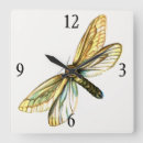 Search for moth clocks Illustration