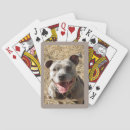 Search for panting photography Animals