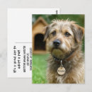 Search for adoptive postcards Cute